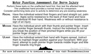 Nerve Injury Reference Card - Assessment