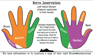 Nerve Injury Reference Card - Innervation